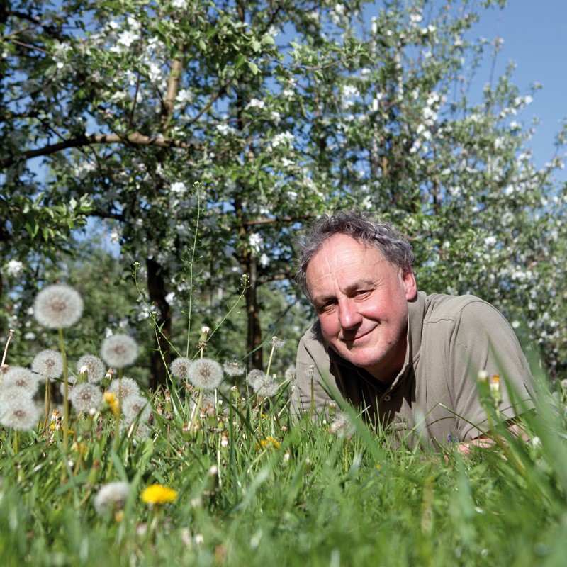 Wilfried Hirschvoegel, Apfelblüte im Obstgarten, Mai 2012
