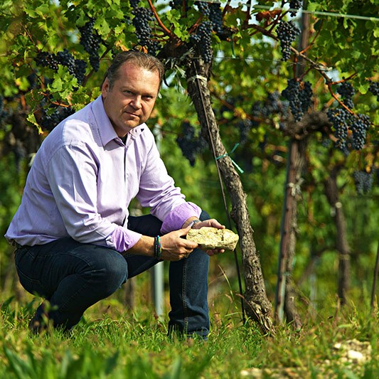 Weingut Wieninger, Stammersdorf, Wien