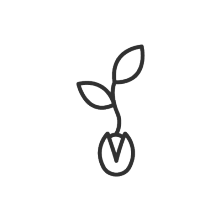 Keimling-Icon