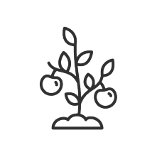Obstbaum-Icon