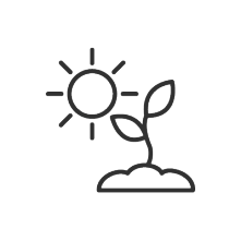 In Sonne wachsen-Icon
