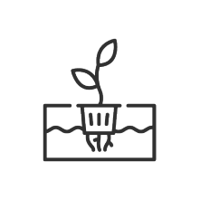 Pflanzenwurzeln-Icon