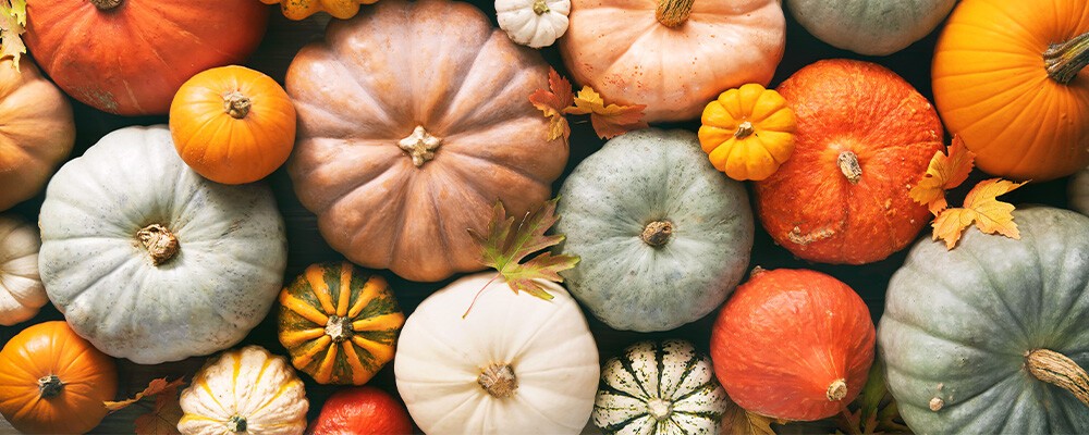 Herbst bei INTERSPAR