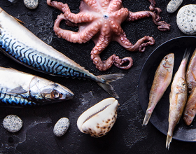 Mehrere verschiedene Fische und Meeresfrüchte auf einem dunklen Tisch