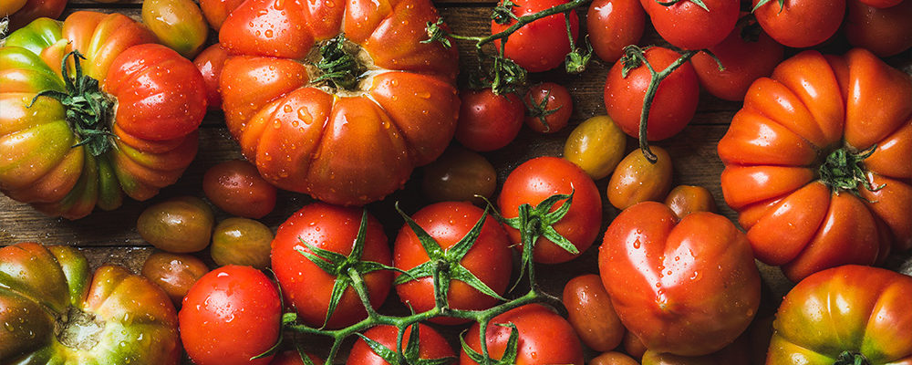 Viele verschieden große Tomaten auf einem Haufen