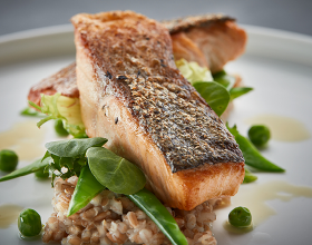 Ein schön angerichtetes Fischgericht auf einem Teller