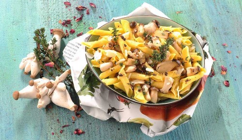 Pasta Tartufo mit Pesto Tartufata, Kräuterseitlingen, Rucola und Parmesan