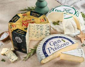 Verschiedene Blauschimmel-Käse 