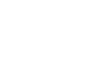 Einkaufswagen-Icon