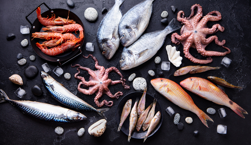 Verschiedene Fische und Meeresfrüchte