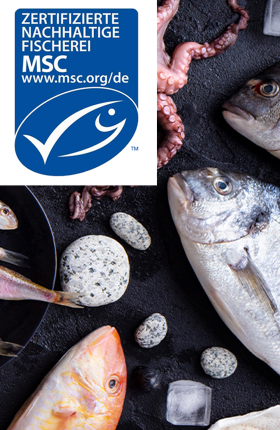 MSC Logo auf einem Hintergrund mit verschiedenen Fischen und Meeresfrüchten
