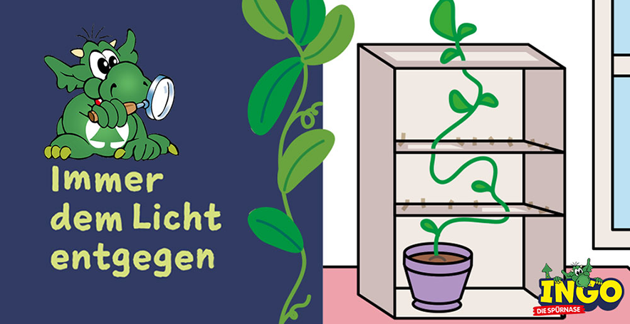 INGO, der kleine grüne Drache, mit einer Lupe in der Hand und der Aufschrift "Immer dem Licht entgegen"