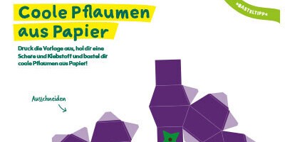 Anleitung zum Basteln einer Pflaume aus Papier