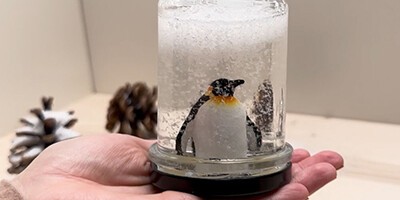 Anleitung zum Basteln einer Schneekugel
