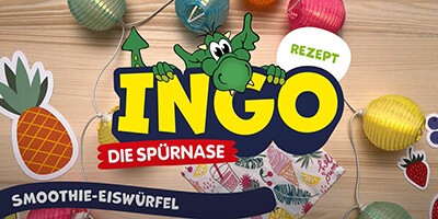 Rezept zum Selbermachen: Eiswürfel-Smoothie