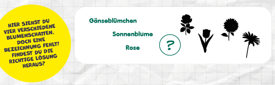 Rätselfrage - welcher Bezeichnung der abgebildeten Blumenschatten fehlt?