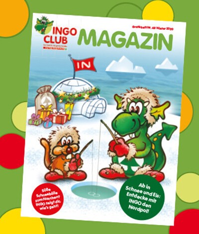 Teaserbild des INGO-Magazins im INGO Magazin-Archiv