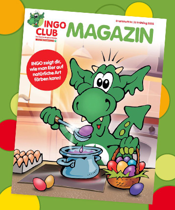 Teaserbild des INGO-Magazins im INGO Magazin-Archiv