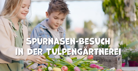 Spürnasen-Besuch in der Tulpengärtnerei
