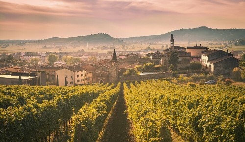 Blick auf die Weinberge und die historische Altstadt von Soave in Venetien