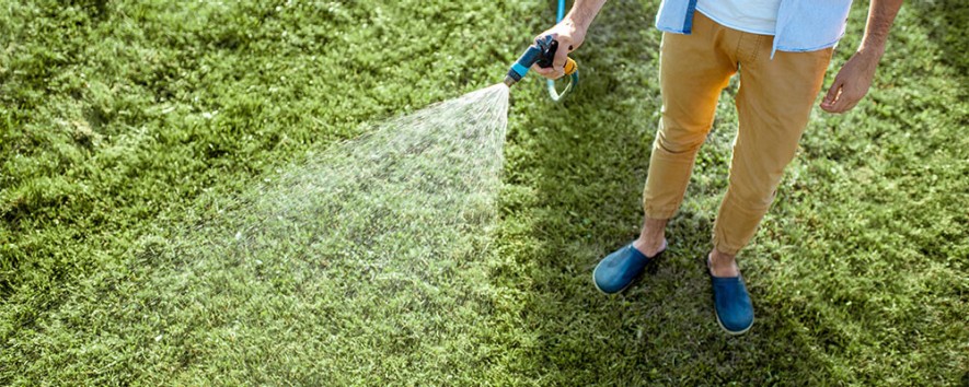 Pflanzenbewässerung und Pflanzendüngung mit Gartenschlauch oder Gießkanne