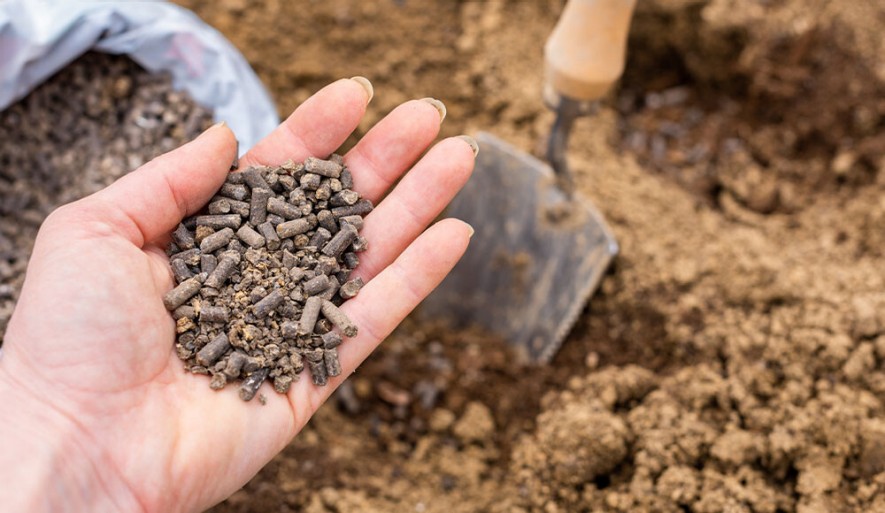 Pflanzenbewässerung und Pflanzendüngung mit Gartenschlauch oder Gießkanne