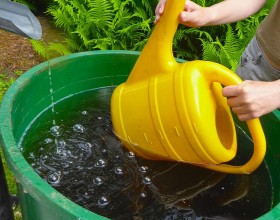 Pflanzenbewässerung und Pflanzendüngung mit Gartenschlauch oder Gießkanne