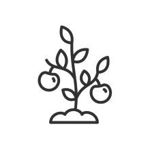 Obstbäumchen-Icon