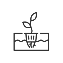 Pflanzentopf mit Wurzeln-Icon