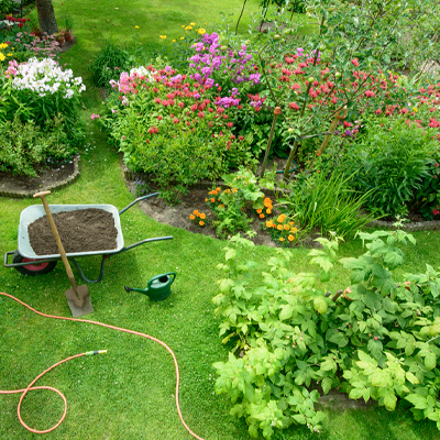 Ein Garten voller verschiedener Pflanzen und Blumen