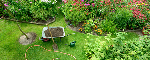 Ein Garten mit vielen verschiedene Pflanzen und Blumen