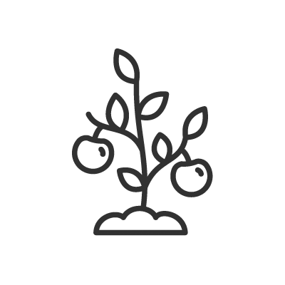 Obstbäumchen-Icon