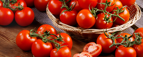 Viele reife, rote Kirschtomaten mit Strauch