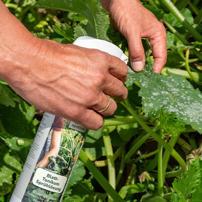 Gartentipps von Karl Ploberger und Ideen für Picknick
