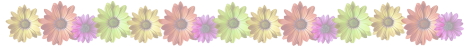 Trennelement mit Blumen Mein Zuhause FS25