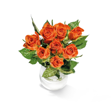 Orange Rosen im Bund