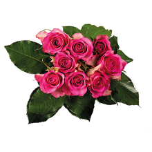 Rosa Rosen in einem Bund