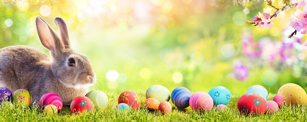 Ein hellbraunes Kaninchen sitzt neben vielen bunten Ostereiern in einer sonnigen Wiese