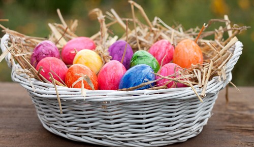 Ein Osternest voller bunt gefärbter Ostereier