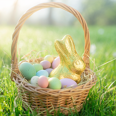 Ein Osterkörbchen voller bunter Ostereier und einem in Goldpapier verpacktem Schokohasen in einer grünen Wiese