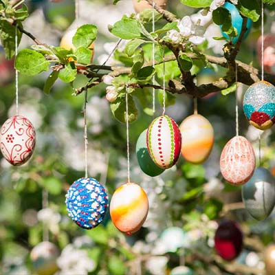 Viele bunte Ostereier hängen an den Ästen eines Strauches