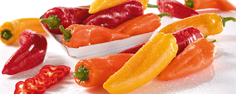 Verschiedes Gemüse, wie Paprika, Gurken und Tomaten