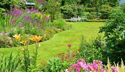 Grüner Garten mit vielen bunten Blumen.