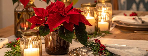 Ideen für die Weihnachts-Tischdeko