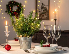 Ideen für die Weihnachts-Tischdeko