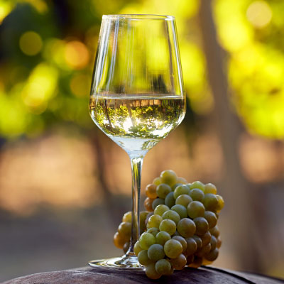 Ein Glas mit Weißwein und grüne Weintrauben auf einem Fass