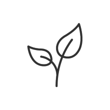 Pflanze mit Blättern-Icon