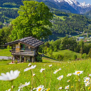 Eine alte hölzerne Almhütte auf einer sonnigen Bergwiese