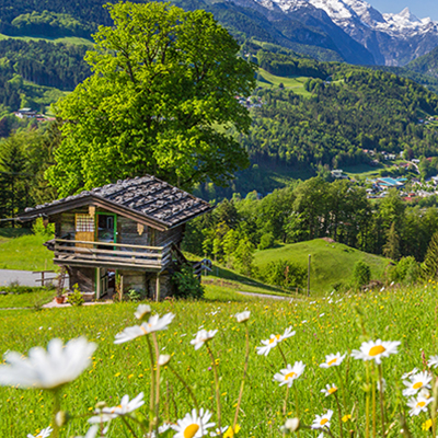 Eine alte hölzerne Almhütte auf einer sonnigen Bergwiese