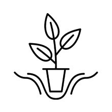 Pflanze einsetzen-Icon